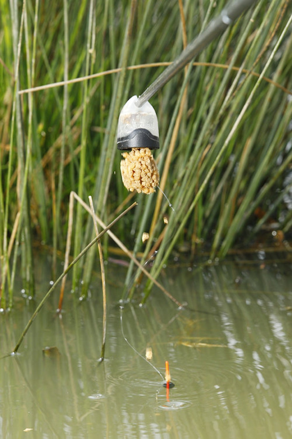 TOP 10 POLE FISHING TIPS Angling Times